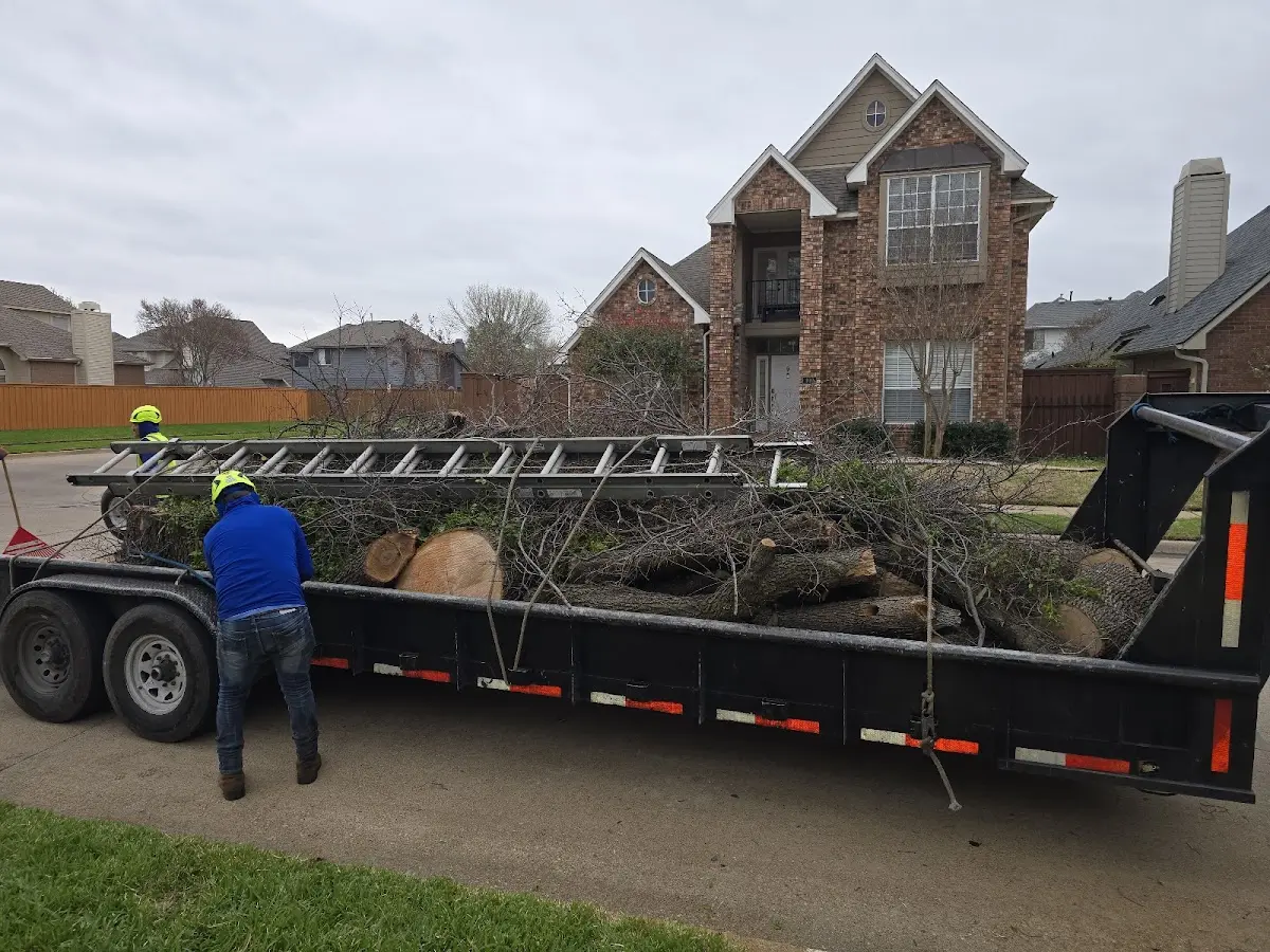 Expert Tree Pest Control with proper safety equipment in Burkittsville